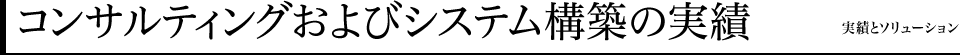 コンサルティングおよびシステム構築の実績 実績とソリューション
